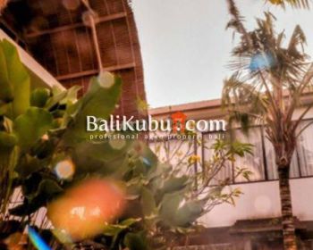 Balikubu.com Amr.081 Apartement Studio Room Taman Sari Kerobokan