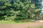 thumbnail-lokasi-buat-villa-kebun-manggis-durian-di-bogor-barat-2