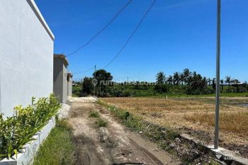 Tanah 6 Are Disewakan, Area Canggu