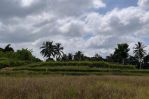 thumbnail-tanah-tegallalang-dekat-rice-terrace-dijualdisewa-13