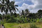 thumbnail-tanah-tegallalang-dekat-rice-terrace-dijualdisewa-0