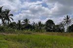 thumbnail-tanah-tegallalang-dekat-rice-terrace-dijualdisewa-8