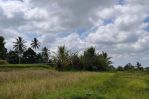 thumbnail-tanah-tegallalang-dekat-rice-terrace-dijualdisewa-14