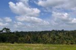 thumbnail-tanah-tegallalang-dekat-rice-terrace-dijualdisewa-11