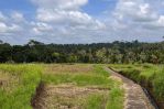 thumbnail-tanah-tegallalang-dekat-rice-terrace-dijualdisewa-10