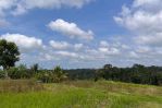 thumbnail-tanah-tegallalang-dekat-rice-terrace-dijualdisewa-6