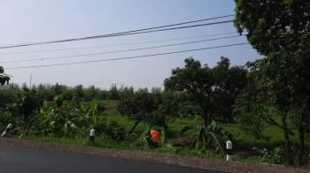 Jual Tanah pinggir jalan raya Ujung Jaya, Tomo, Sumedang