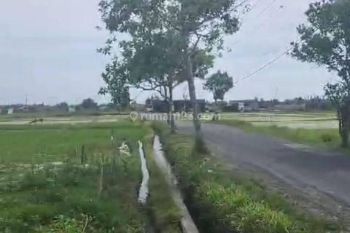 TANAH PREMIUM PANTAI LIMA PERERENAN PINGGIR JALAN RAYA