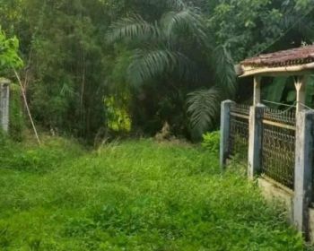 Sale Tanah: Tanah Dijual Murah