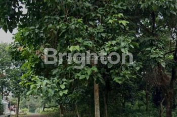 Tanah kebun bisa untuk Investasi/ bangun Cluster