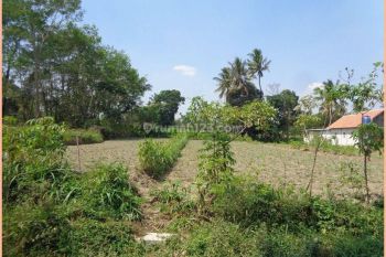 Jual Tanah Jogja Ngemplak Dekat Puskesmas Ngemplak Nego