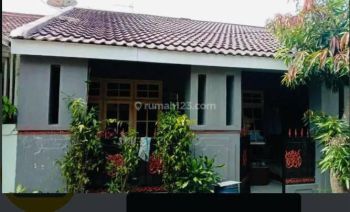 Rumah Harga Menarik di Serua Permai Pamulang #DG