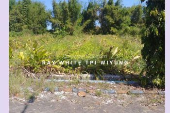 Dijual Tanah di Driyorejo