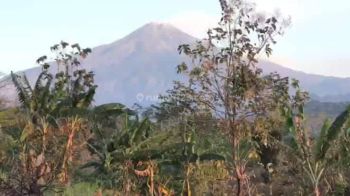 Sale Tanah: Dijual Tanah Pacet