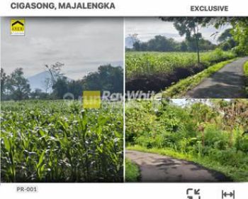 Dijual Tanah Kebun Produktif di Simpeureum Majalengka
