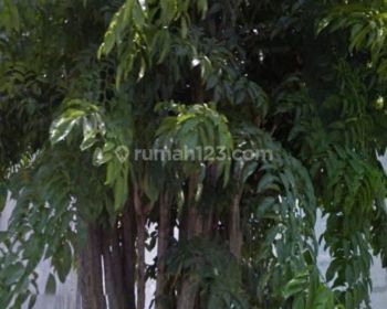 Termurah Manyar Jaya jalan lebar 9juta/ M2 negooooo