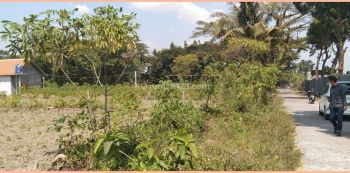 Tanah Umbulmartani Dekat Pasar Jangkang Siap Bangun Tanpa Ribet