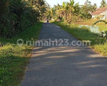 TANAH SUPER MURAH DI JALAN KALIURANG KM 13