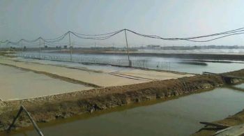 DIJUAL EMPANG MUARABARU DI CILAMAYA WETAN, KARAWANG