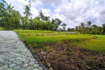 Tanah Dekat Kampus Uny Wates, Investasi Murah