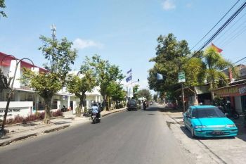 Tanah Jogja 1 Jt-an: 4 Km Selatan Kota wates