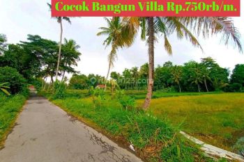 Tanah Murah Cocok Bangun Villa area Ngemplak Dg Sungai dan Persawahan