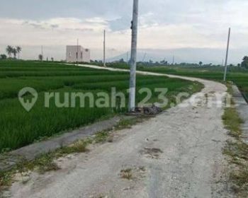 TANAH VIEW SAWAH GUNUNG KEREN DI CANGGU AREA