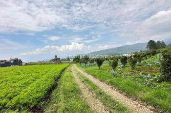 Tanah Dijual Batu Malang, Cocok Untuk Rumah Kebun