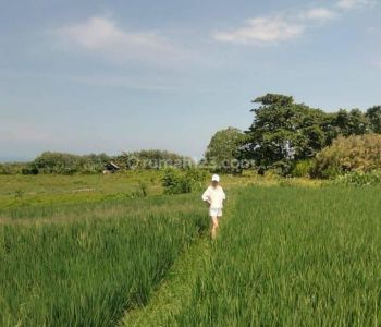 Dijual tanah murah harga damai 800 meter dari Pantai SOKA selemadeg timur bentuk