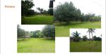 thumbnail-dijual-kavling-kebun-di-kerumahan-loji-sindang-barang-bogor-1