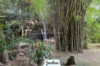 Prime Land In Kerobokan, Just 8 Minutes To Canggu