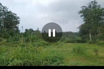 Dijual tanah strategis dekat wisata Trawas, Mojokerto