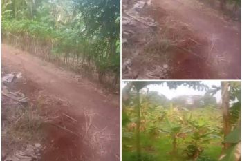 Sale Tanah: Jual tanah kosong