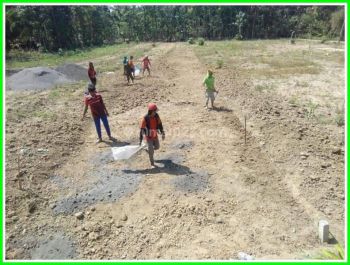 Tanah Dijual Jogja, Tanah Cocok Untuk Villa Lokasi Moyudan