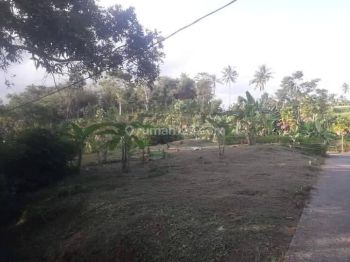 Hot List Di Jual Tanah Lokasi Tabanan