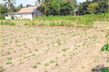 Tanah Jogja Murah, Dekat Rs. Mitra Paramedika 1 Jutaan M2 Cocok Untuk Hunian