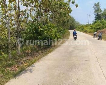 Tanah Kebun Harga Murah Di Sindang Sari Sajira Lebak Banten