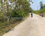 thumbnail-tanah-kebun-harga-murah-di-sindang-sari-sajira-lebak-banten-1