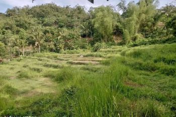 Dijual tanah total luas 10315 m2 daerah Sukabumi
