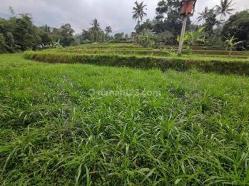 Tanah Produktif 8300m2 SHM Bonus Bangunan dan Isinya di Cidahu
