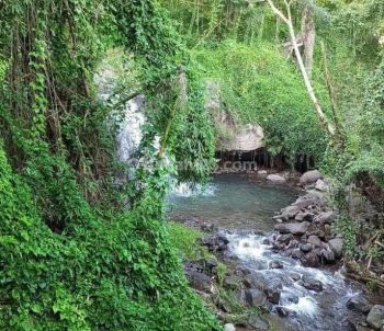 perkebunan banyuatis view sawah dan perbukitan
