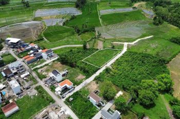 Tamah Murah Munggu Mengwi Bali