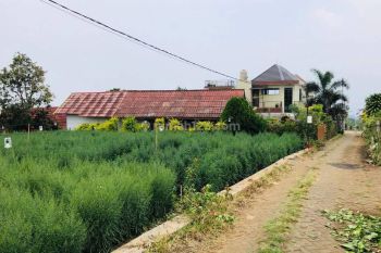 Tanah Murah 2 Jutaan, Dekat Pasar Bunga Kota Batu