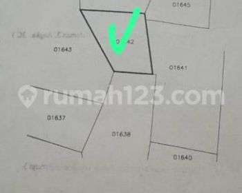 Tanah Gresik siap pakai