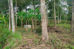 thumbnail-tanah-lahan-sawah-properti-3