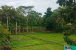 thumbnail-tanah-lahan-sawah-properti-12