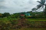 thumbnail-tanah-lahan-sawah-properti-5