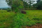 thumbnail-tanah-lahan-sawah-properti-14