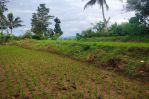 thumbnail-tanah-lahan-sawah-properti-6