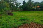 thumbnail-tanah-lahan-sawah-properti-0